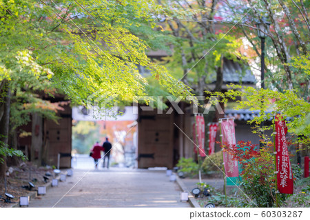Yuzanji寺廟秋葉 60303287