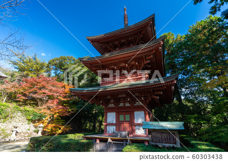 Autumn leaves of Mt. 60303438