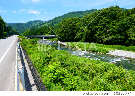 夏季，凱森河上到處都是香魚捕魚。日本岩手，陸前高田。 7月初。 60303774