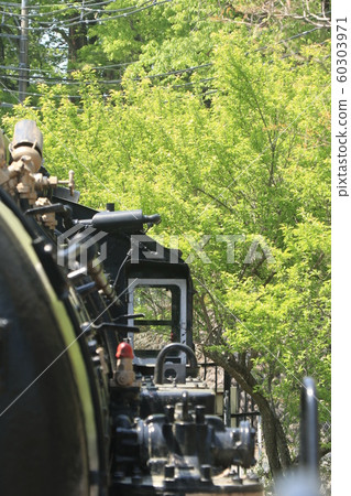 東京青梅市青梅鐵路公園的蒸汽機車 60303971