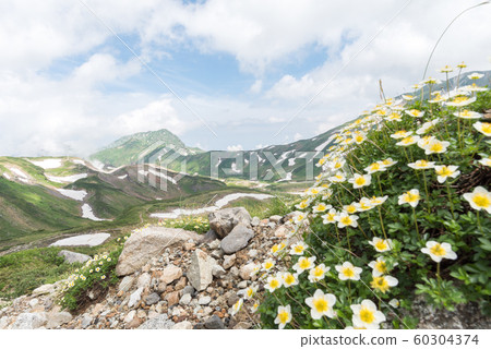 Mountain climbing Mountain climbing 60304374