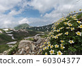 Mountain climbing 60304377
