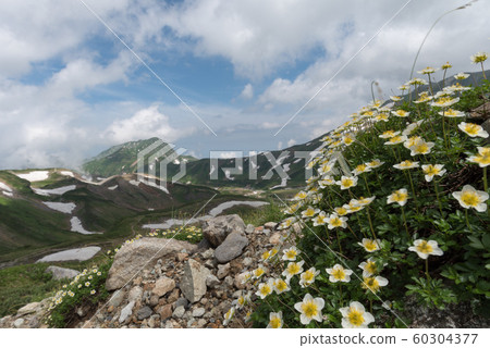 Mountain climbing 60304377