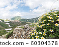 Mountain climbing 60304378