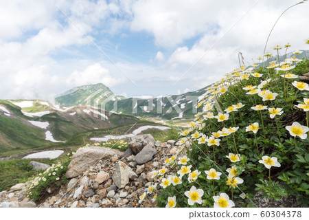 Mountain climbing 60304378