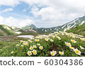 Mountain climbing 60304386