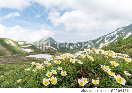 Mountain climbing 60304386