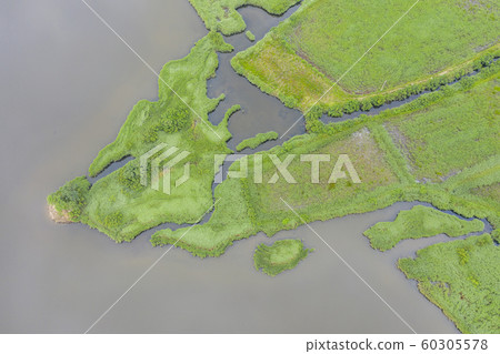 波馬湖,湖泊,濕地,陽陽郡,江原道,東海,航拍 波馬湖,湖泊,濕地,陽陽郡,江原道,東海,航拍 60305578