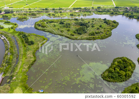 Gyeongpoho, Gangneung-si, Gangwon-do, Aerial photography 60305592