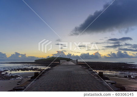 Miyazaki city, dawn in Aoshima 60306145