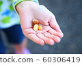孩子的手 60306419