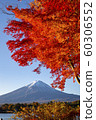 Autumn leaves with Mt Fuji at Lake Kawaguchiko 60306552