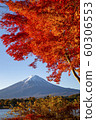 Autumn leaves with Mt Fuji at Lake Kawaguchiko 60306553