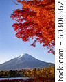 Autumn leaves with Mt Fuji at Lake Kawaguchiko 60306562