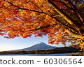 Autumn leaves with Mt Fuji at Lake Kawaguchiko 60306564
