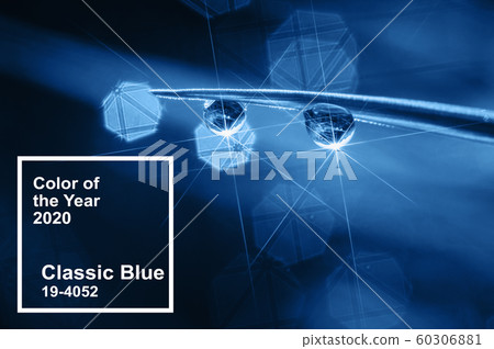 Main color trend 2020 classic blue pantone. Dew drops on the grass 60306881