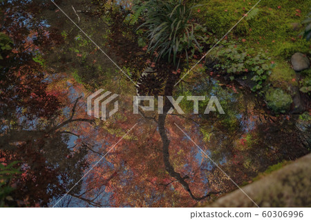 京都府里仁院神廟和佛教寺廟八瀨平山廣山火車廣告寫真資料秋葉資料 京都府里仁院神廟和佛教寺廟八瀨平山廣山火車廣告寫真資料秋葉資料 60306996