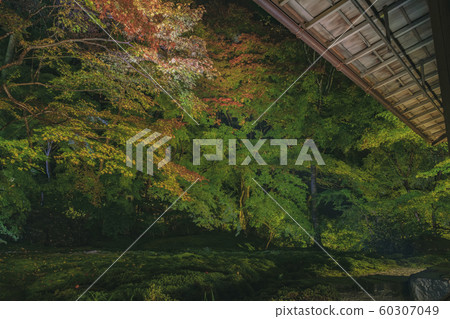 京都府里仁院神廟和佛教寺廟八瀨平山廣山火車廣告寫真資料秋葉資料 60307049