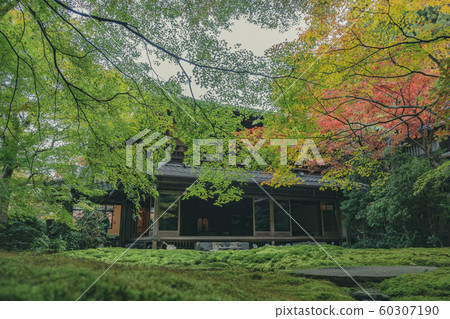 Kyoto, Ruriko-in Temple, temple, temple, shrines and temples, Yase, Hieizan, Hiyama train, advertisement, photo material, autumn leaves, material, autumn, landscape, back Kyoto, Ruriko-in Temple, temple, temple, shrines and temples, Yase, Hieizan, Hiyama train, advertisement, photo material, autumn leaves, material, autumn, landscape, back 60307190