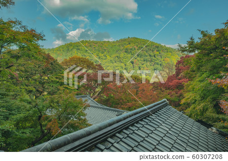 京都,栗子院,寺廟,寺廟,神社和廟宇,亞瀨,比山,Hiyama火車,廣告,照相材料,秋葉,材料,秋天,風景,後背 京都,栗子院,寺廟,寺廟,神社和廟宇,亞瀨,比山,Hiyama火車,廣告,照相材料,秋葉,材料,秋天,風景,後背 60307208