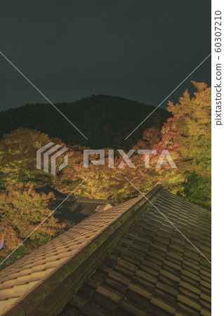京都，栗子院，寺廟，寺廟，神社和廟宇，亞瀨，比山，Hiyama火車，廣告，照相材料，秋葉，材料，秋天，風景，後背 60307210