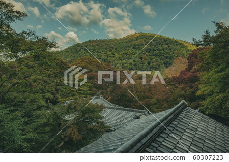 京都,栗子院,寺廟,寺廟,神社和廟宇,亞瀨,比山,Hiyama火車,廣告,照相材料,秋葉,材料,秋天,風景,後背 京都,栗子院,寺廟,寺廟,神社和廟宇,亞瀨,比山,Hiyama火車,廣告,照相材料,秋葉,材料,秋天,風景,後背 60307223