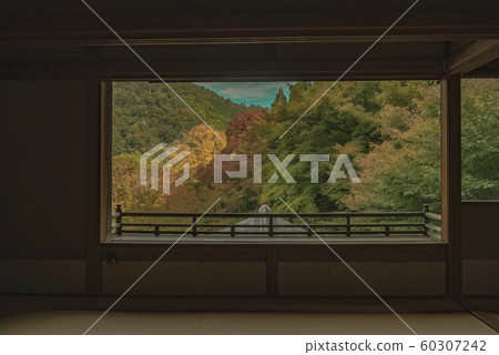 京都,栗子院,寺廟,寺廟,神社和廟宇,亞瀨,比山,Hiyama火車,廣告,照相材料,秋葉,材料,秋天,風景,後背 京都,栗子院,寺廟,寺廟,神社和廟宇,亞瀨,比山,Hiyama火車,廣告,照相材料,秋葉,材料,秋天,風景,後背 60307242