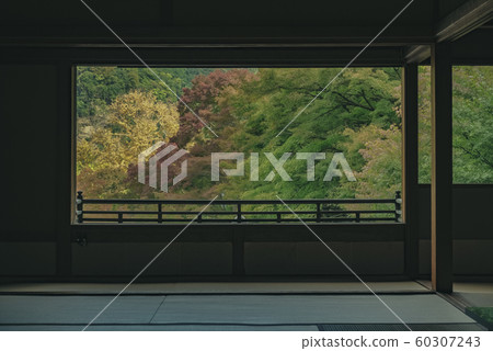 京都,栗子院,寺廟,寺廟,神社和廟宇,亞瀨,比山,Hiyama火車,廣告,照相材料,秋葉,材料,秋天,風景,後背 京都,栗子院,寺廟,寺廟,神社和廟宇,亞瀨,比山,Hiyama火車,廣告,照相材料,秋葉,材料,秋天,風景,後背 60307243