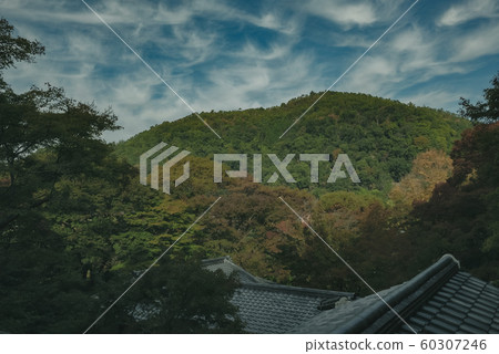 京都,栗子院,寺廟,寺廟,神社和廟宇,亞瀨,比山,Hiyama火車,廣告,照相材料,秋葉,材料,秋天,風景,後背 京都,栗子院,寺廟,寺廟,神社和廟宇,亞瀨,比山,Hiyama火車,廣告,照相材料,秋葉,材料,秋天,風景,後背 60307246