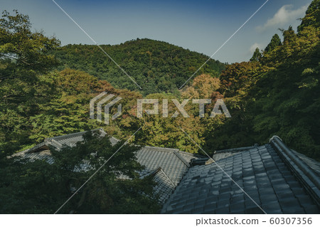 京都府里仁院神廟和佛教寺廟八瀨平山廣山火車廣告寫真資料秋葉資料 京都府里仁院神廟和佛教寺廟八瀨平山廣山火車廣告寫真資料秋葉資料 60307356