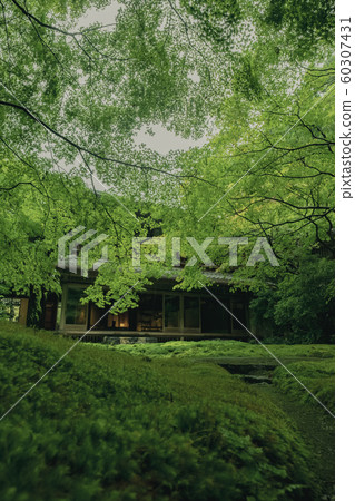 Kyoto Riko-in Temple Temple Shrines and Buddhist Temples Yase Hieisan Hiyama Train Advertising Photo Material Autumn Leaves Material Kyoto Riko-in Temple Temple Shrines and Buddhist Temples Yase Hieisan Hiyama Train Advertising Photo Material Autumn Leaves Material 60307431