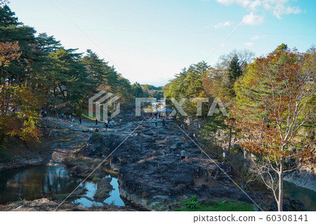 Shirami河秋葉 60308141