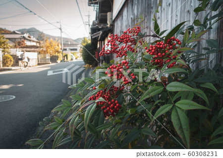 Kyoto, Matsugasaki's autumn streets and scenery of Mt. Hiei and the red fruit of the southern sky 60308231