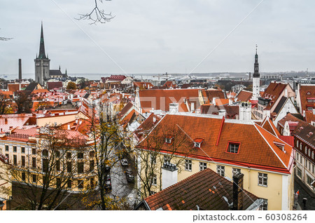 Estonia Tallinn Tourism Old Town from Toompea Observatory 60308264
