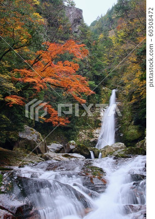 奈良縣吉野區土川村秋季佐佐野瀑布的土川村 60308472