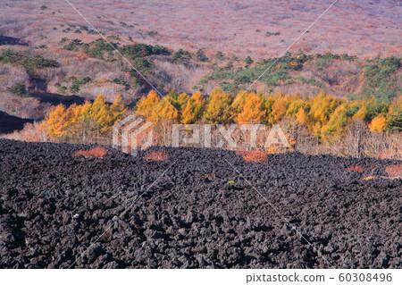 Burning lava flow 60308496