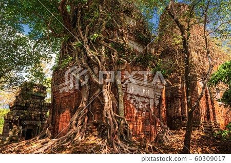 柬埔寨可口可樂遺址風光15 60309017