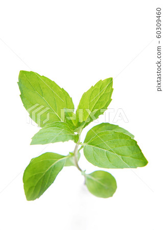 Hackerhokut 60309460