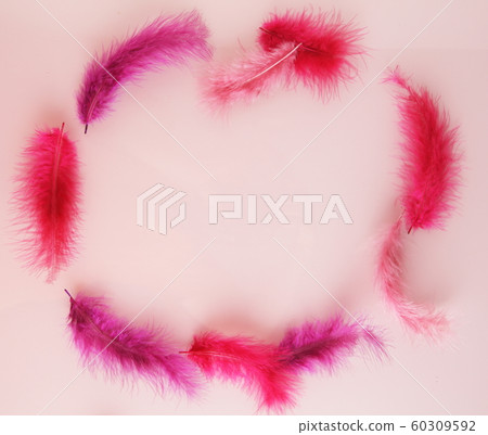 Red feathers frame for Fastelavn 60309592