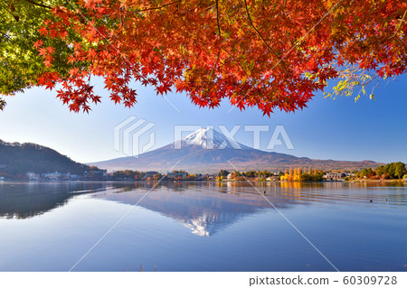 Autumn leaves and upside down Fuji Autumn leaves and upside down Fuji 60309728