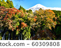 Fuji and autumn leaves 60309808