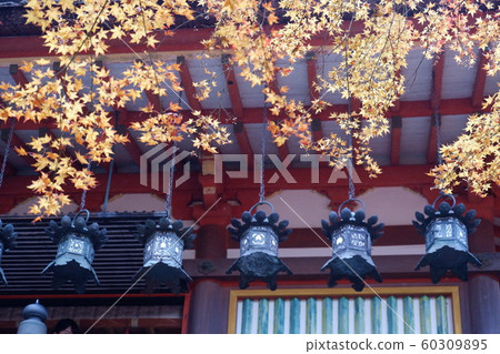奈良櫻井丹山神社 奈良櫻井丹山神社 60309895