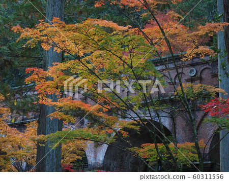 Nanzenji Suidokaku的秋葉 Nanzenji Suidokaku的秋葉 60311556
