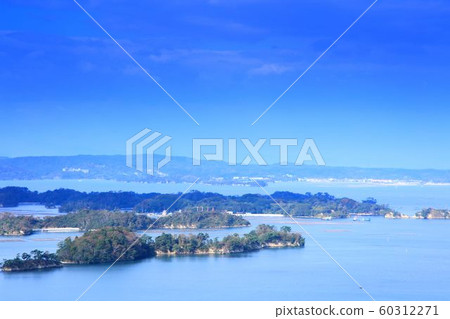 宮城松島高森 60312271