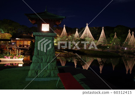 白鳥花園光藝術 60312415