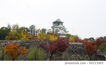 Osaka Castle Park in autumnal leaves Osaka Castle Park in autumnal leaves 60313865
