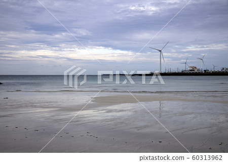 Jeju Island beach in autumn 60313962