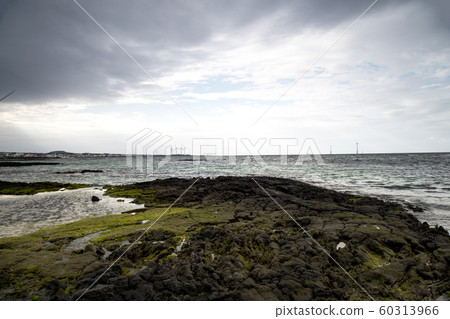 濟州島海灘 60313966