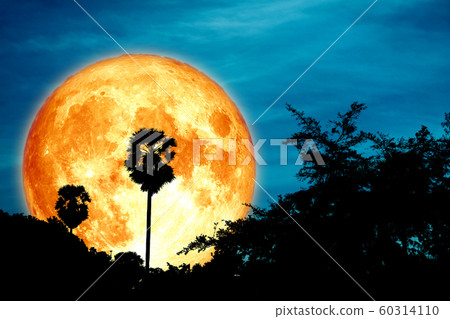 full cold blood moon on night sky and white cloud 60314110