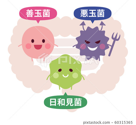 腸道中的好細菌壞細菌 60315365